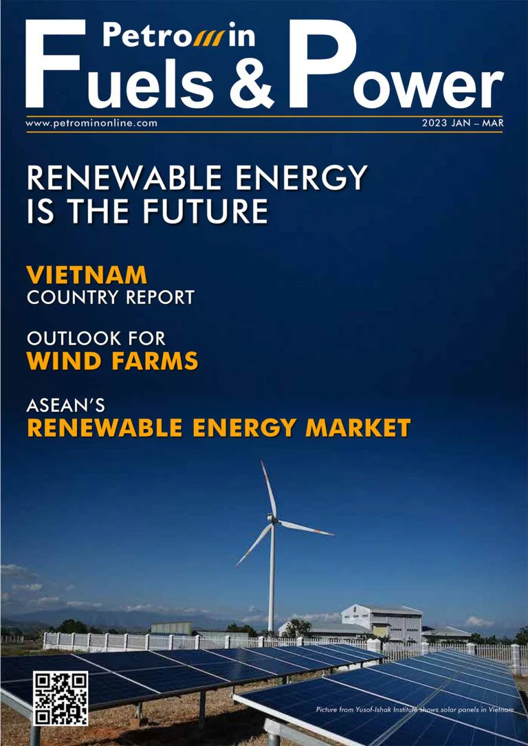 Renewable energy is the future cover