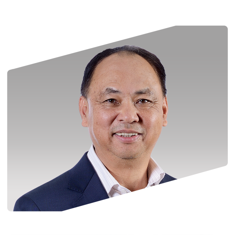 Ir. Tan Lek Lek
